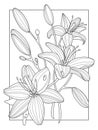 Lily flowers coloring book vector illustration Royalty Free Stock Photo