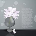 Lily flowers in glass vase. Blooming lilia with white petals. Wedding greeting card.