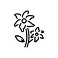 Black line icon for Lily Flowers, florist and natural