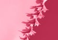 Lily flowers layout toned in trendy magenta color of year 2023. Stylish retro design template.