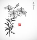 Lily flowers on white background. Traditional oriental ink painting sumi-e, u-sin, go-hua. Contains hieroglyphs - peace