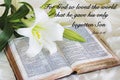 Lily laying on a antique bible on Easter morning Royalty Free Stock Photo