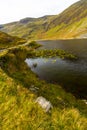 Lily pads in Cwmorthin Lake in hanging valley