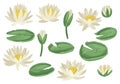 Lily pads set. Isolated on white background. Vector illustration