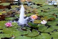 Lily pond with fountain