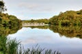 Lily Ponds with Eight Arch Bridge, Bosherton. Royalty Free Stock Photo