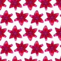 Lily Red pattern seamless. Beautiful flower background