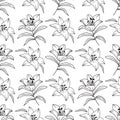 Lily seamless pattern, Elegant lilies drawn by a thin line. Floral pattern black and white. Vector illustration