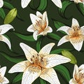 Lily tiger type on green leaves nature pattern seamless