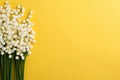Lily of the valey bunch on yellow background top view
