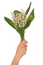 Lily of the valley