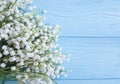 Lily of the valley beautiful on blue wooden celebration decorative floral spring flowers greetings