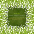 Lily of the valley border, frame, spring bouquet of delicate flower, vector illustration. White buds forest flowers bluebells and