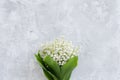 Lily of the valley bouquet on a concrete texture Royalty Free Stock Photo