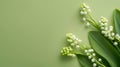 Lily of the Valley color background