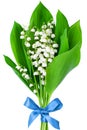 Lily of the valley flower bouquet with blue bowknot white background isolated close up, beautiful may lilies bunch Royalty Free Stock Photo