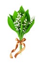 Lily of the valley flower bouquet with brown bowknot white background isolated close up, beautiful may lilies bunch, green leaves Royalty Free Stock Photo