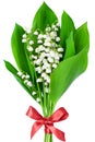 Lily of the valley flower bouquet with red bowknot white background isolated close up, beautiful may lilies bunch, green leaves Royalty Free Stock Photo