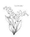 Lily of the valley flower drawing illustration. Black and white with line art. Royalty Free Stock Photo