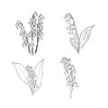 Lily of the valley flower minimalistic drawing Royalty Free Stock Photo