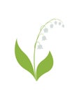 Lily of the valley flower. spring floral element for design