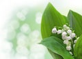 Lily-of-the-valley flowers design