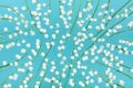 Lily of the valley flowers pattern for beautiful floral background. Flat lay style.