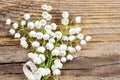 Lily of the valley flowers on wooden background. Royalty Free Stock Photo