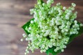Lily of the valley flowers, on wooden background Royalty Free Stock Photo