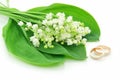 Lily of the Valley and Golden Rings Isolated Royalty Free Stock Photo