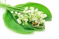 Lily of the Valley and Golden Rings Isolated Royalty Free Stock Photo