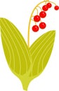 Lily of the valley plant with red berries and yellowed leaves