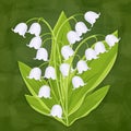 Lily of the valley, spring bouquet of delicate flower, vector illustration. White buds forest flowers bluebells, stalks and leaves