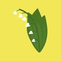 Lily of the valley, a spring flower with blossoming buds in the shape of a bell. First spring flowers. Flat style hand drawing Royalty Free Stock Photo