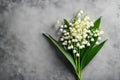 Lily of the Valley on Textured Backdrop Royalty Free Stock Photo