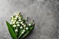 Lily of the Valley on Textured Backdrop Royalty Free Stock Photo