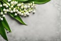 Lily of the Valley on Textured Backdrop Royalty Free Stock Photo