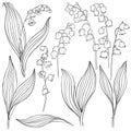 Lily of the valley. Vector illustration, isolated floral elements for design. Contour monochrome illustration isolated on white