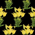 Lily yellow pattern isolate object background