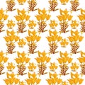 Lily yellow pattern isolate object background
