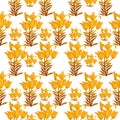 Lily yellow pattern isolate object background