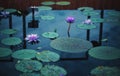 Lilypads and Flowers in water on a Cloudy Day Royalty Free Stock Photo