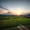 Lim-Mong , paddy season made with Generative AI