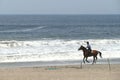 Rider man on brown horse trotting at coastline, Lima