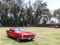 Red Ford Mustang V289 1966 in Mamacona, Lima