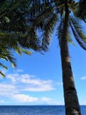 limasawa beach tropics Royalty Free Stock Photo