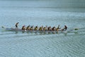 Mixed dragon boat team taking part in a competition Royalty Free Stock Photo