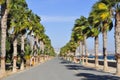 Limassol Promenade Alley