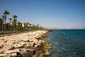 Limassol promenade coastline with tall palm trees along it, Cyprus