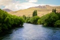 Calm river with trees Royalty Free Stock Photo